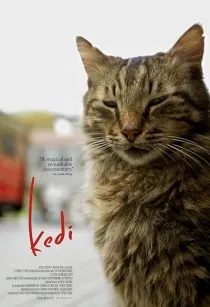 مستند Kedi 2016 1 MV5BMjEwNTM2NDE0Nl5BMl5BanBnXkFtZTgwMzMzNTc4MDI@. SY600 SX400
