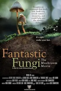 مستند Fantastic Fungi 2019 1 MV5BOGYxNzg3ZGEtYWU2MS00ODBmLWI1NzMtNTdmZDMzMzVkYzE4XkEyXkFqcGc@. SY600 SX400