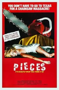 فیلم Pieces 1982 1 MV5BZjdiNTA5YTItNjRjMy00YzkxLTg5NzctODgwMDY5MTY2MWFkXkEyXkFqcGc@. SY600 SX400