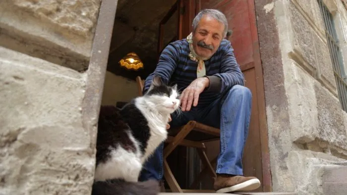  مستند Kedi 2016